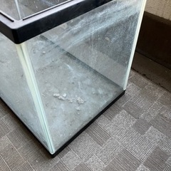 水槽　60×30×35の画像