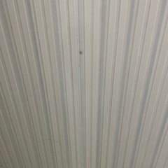 生活雑貨 家庭用品 バス用品の画像