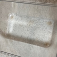 靴小動物用品の画像