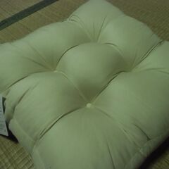 タグ付き フロア クッション 45×45×7㎝ （イオン購入品）お譲りします。＊石川県＊美川より＊期間限定の画像