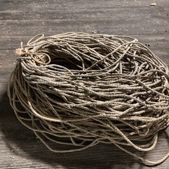 生活雑貨 洗濯用品 ハンガー