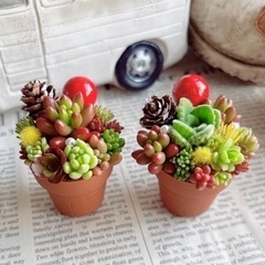 売れました！多肉植物❤︎寄せ植え❤︎一寸プラ鉢❤︎2個セット