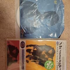 JUN  SKY WALKER(S )の画像