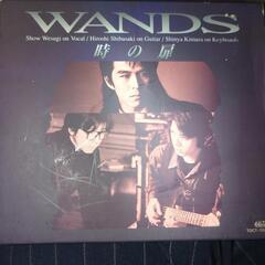 WANDS