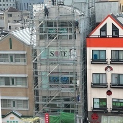 鳶の画像