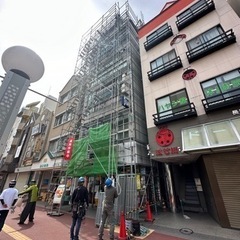 鳶の画像