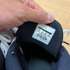 ジョーダン　28.0の画像