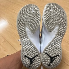ジョーダン　28.0の画像