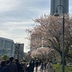 新規グル メンバー募集 - チャット