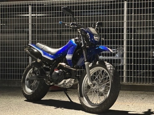 ヤマハ TW200E DG07J 実働 オフ車仕様 外装フルスワップ