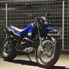 ヤマハ TW200E DG07J 実働 オフ車仕様 外装フルスワップの画像