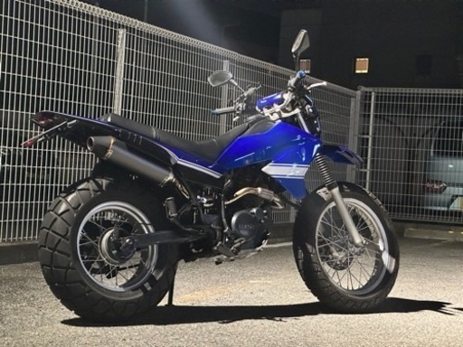 ヤマハ TW200E DG07J 実働 オフ車仕様 外装フルスワップ