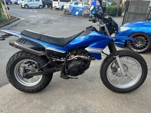 ヤマハ TW200E DG07J 実働 オフ車仕様 外装フルスワップ