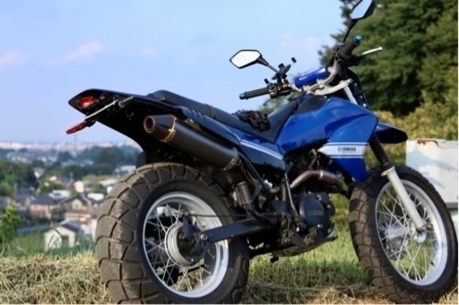 ヤマハ TW200E DG07J 実働 オフ車仕様 外装フルスワップ