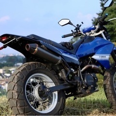 ヤマハ TW200E DG07J 実働 オフ車仕様 外装フルスワップの画像