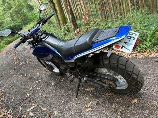 ヤマハ TW200E DG07J 実働 オフ車仕様 外装フルスワップ