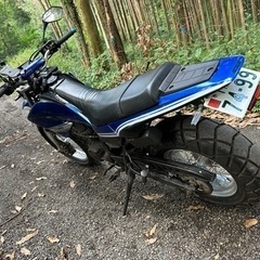 ヤマハ TW200E DG07J 実働 オフ車仕様 外装フルスワップの画像