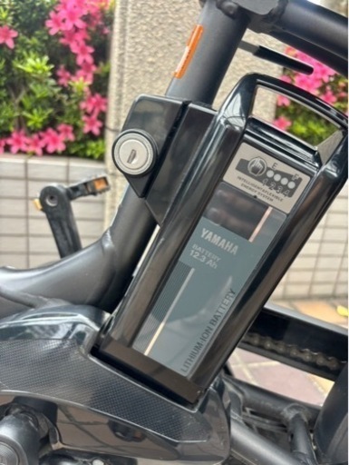 自転車 電動アシスト自転車