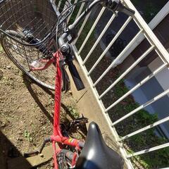 自転車 (※5月31日まで掲載)