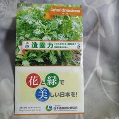 春菊の種