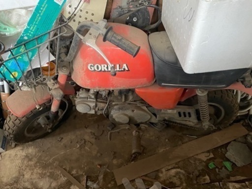 売れたので他の出品見てください。