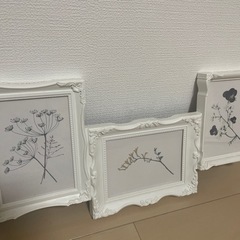 Francfranc IKEA廃盤品　デザイン画　花　