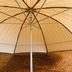☔️☀️POLO　晴雨兼用傘　の画像