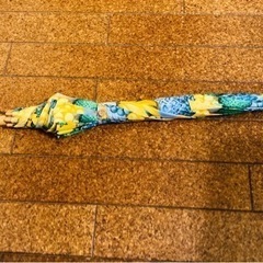 ☔️大きめサイズのレディース傘の画像