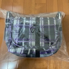 ピクニック保冷バックの画像