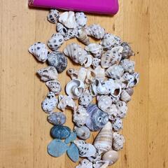 家具 インテリア雑貨/小物 置物、オブジェの画像