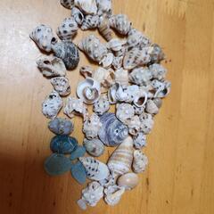 家具 インテリア雑貨/小物 置物、オブジェ