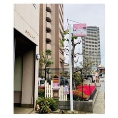 ✨トリマー専門学生歓迎✨【BLISS Paws】トリマー作業補助スタッフ募集！の画像