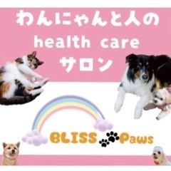 ✨トリマー専門学生歓迎✨【BLISS Paws】トリマー作業補助スタッフ募集！の画像
