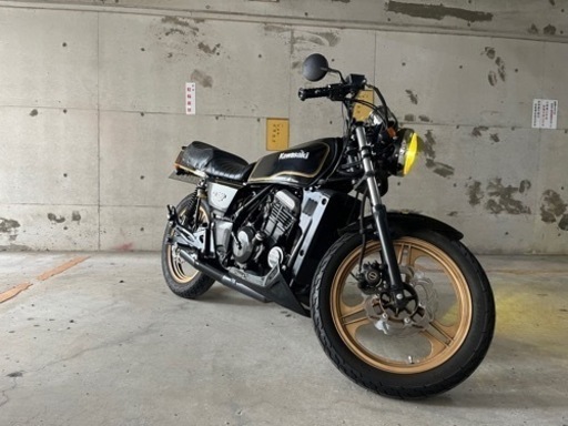 エリミネーター250 SE FX仕様