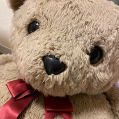 特大くまのぬいぐるみの画像