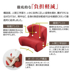 スタイル ドクターチェア(Style Dr.CHAIR) ブラウン（レッド有り） MTG