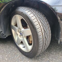 ボルボV50　2.0クラシック　H24モデル特別仕様車　車検6/12　走行30000ｋ　社外HDDナビ　ETC　サンルーフ＆ブラウン革シート　17AW　キセノン＆フォグ　クルコン　スマートキーの画像