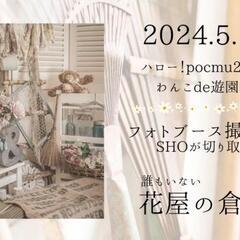  【那須】ハロー！pocmu 2024出店愛犬ブース撮影会