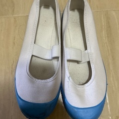上靴23cm