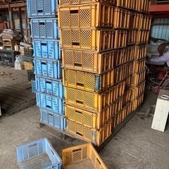 ビート苗入れ用コンテナ　160個　まとめて　　