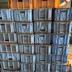 ビート苗入れ用コンテナ　160個　まとめて　　の画像