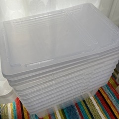 ブリーディングボックス　L  7個の画像