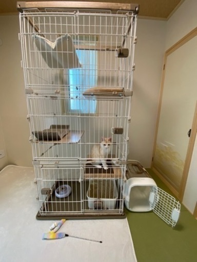 早い者勝ち、猫トライアルセット、猫ケージ、3段、多頭飼い、トイレなど