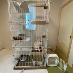 早い者勝ち、猫トライアルセット、猫ケージ、3段、多頭飼い、トイレなど