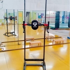 GronG ぶら下がり健康器 懸垂マシン