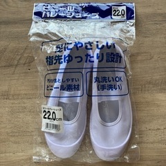 上履き　22センチ
