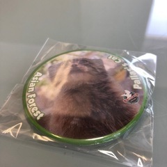 マヌルネコ Pallas's cat缶バッジ  那須どうぶつ王国 未開封の画像