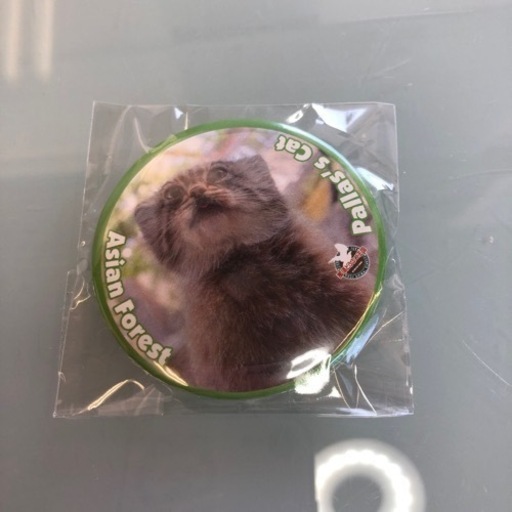 マヌルネコ Pallas's cat缶バッジ  那須どうぶつ王国 未開封