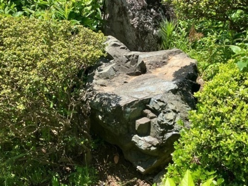 生活雑貨 家庭用品 ガーデニング