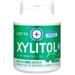 キシリトール ライムミント ガム 290g②